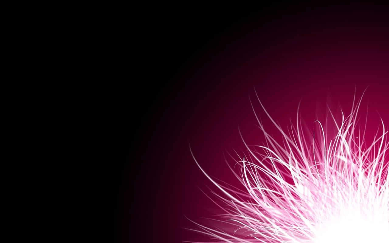 Tuft Of Spiky Fur Black And Pink Background