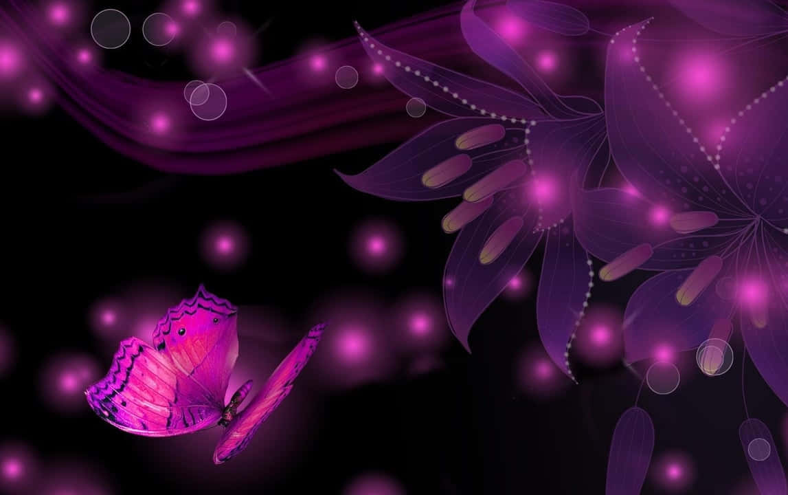 Flowers And Butterfly Black And Pink Background