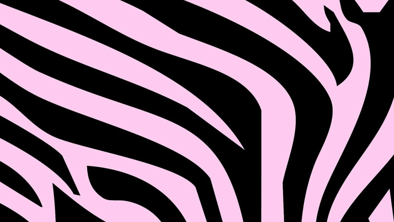 Zebra Print Black And Pink Background