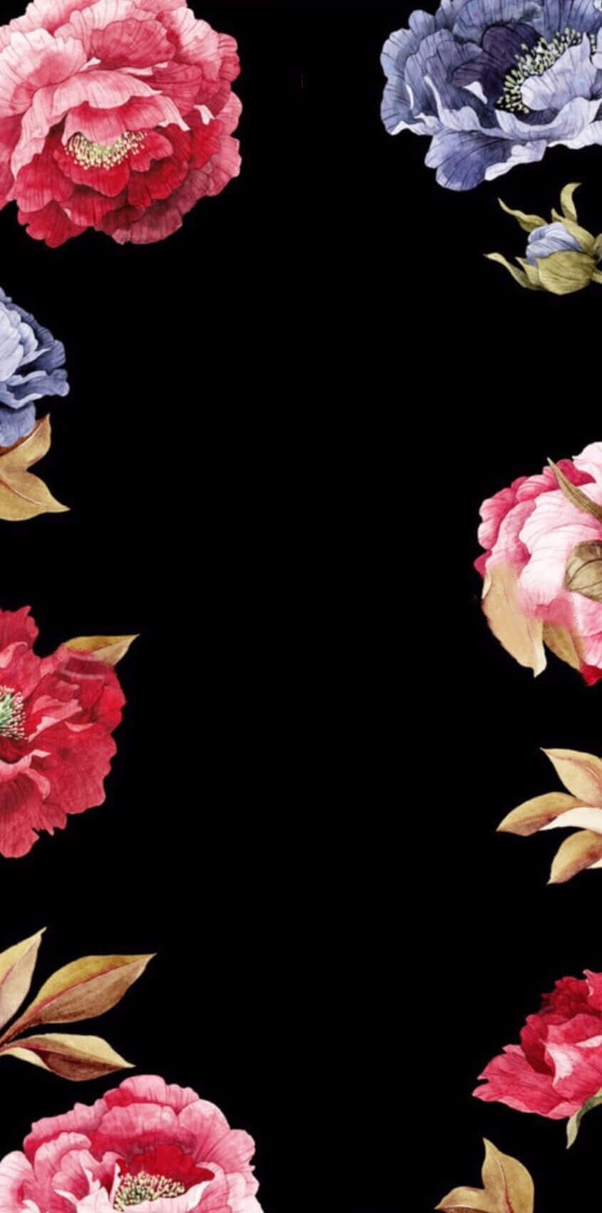 Unavibrante Gama De Flores En Negro Y Rosa. Fondo de pantalla