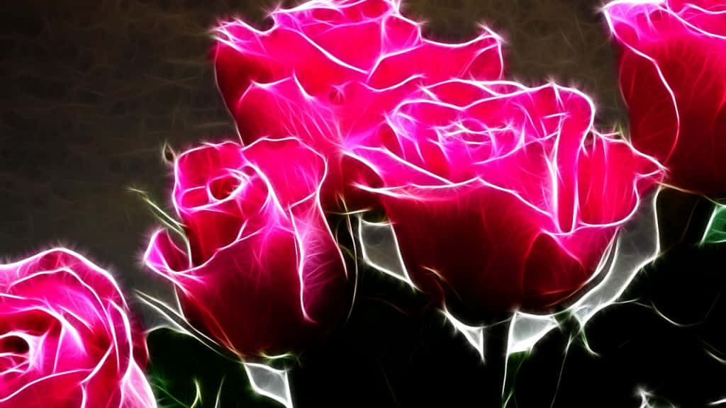 A colorful bouquet of roses against a black background. Wallpaper