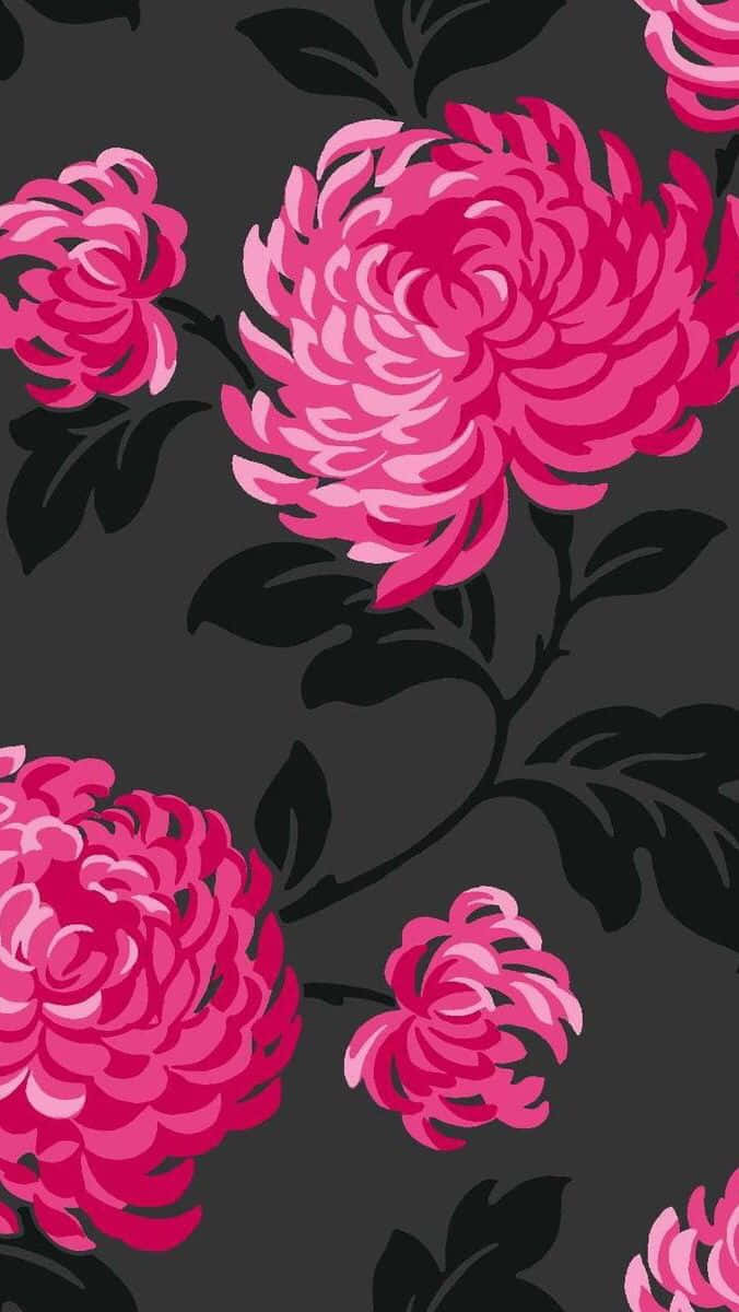 Download Black And Pink Floral Wallpaper 