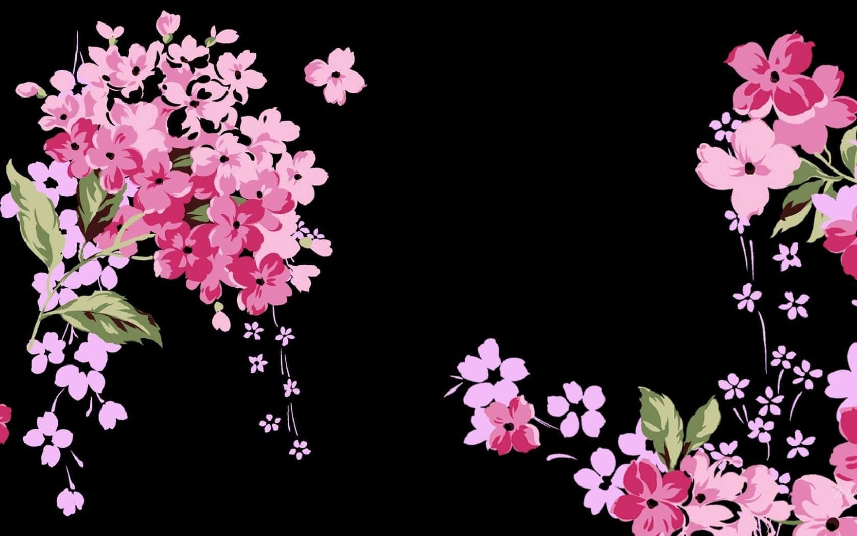 A Black Background With Pink Flowers On It Wallpaper