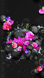 Black And Pink Orchids Themes Wallpaper