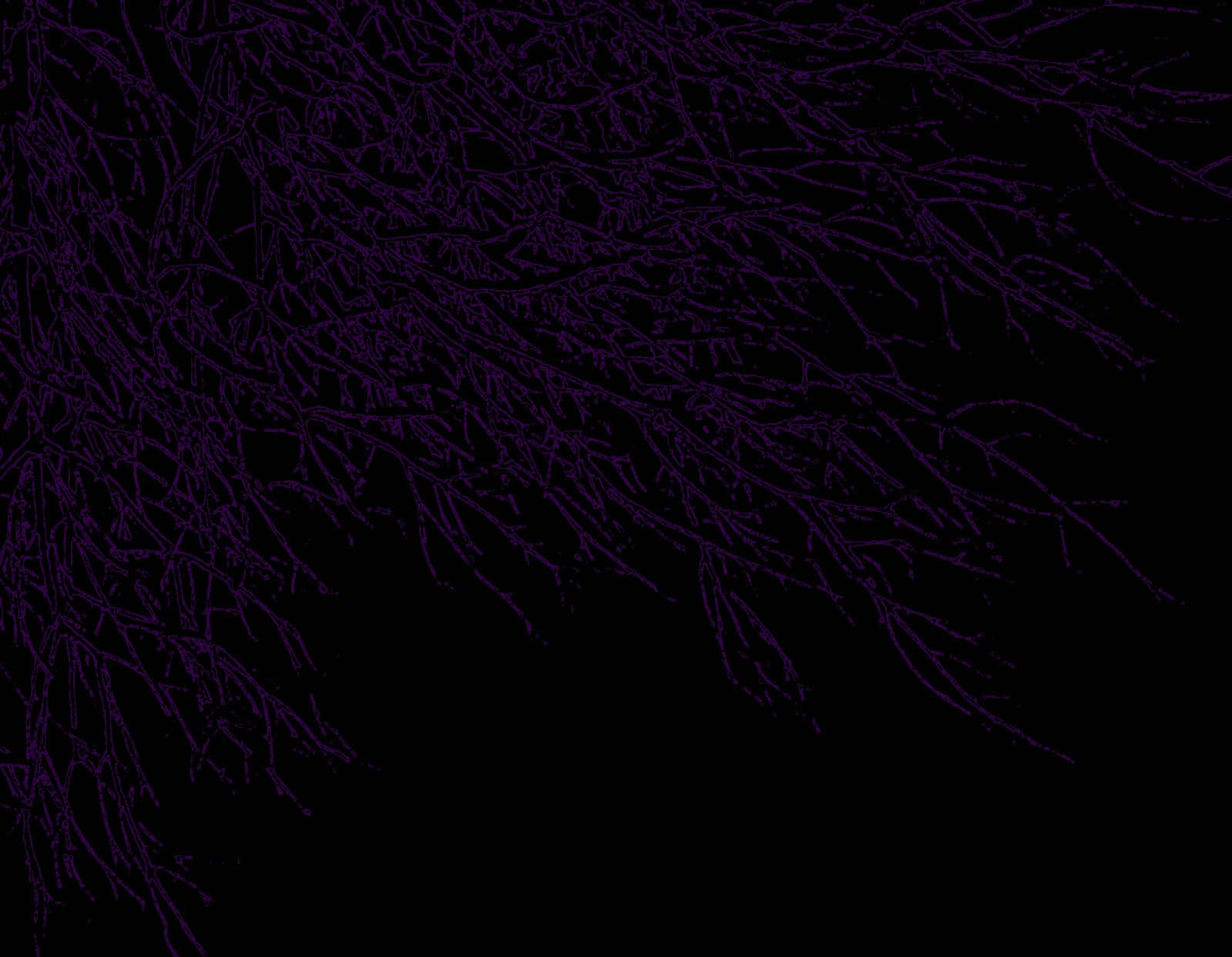 Stylized Black and Purple Graphic Background