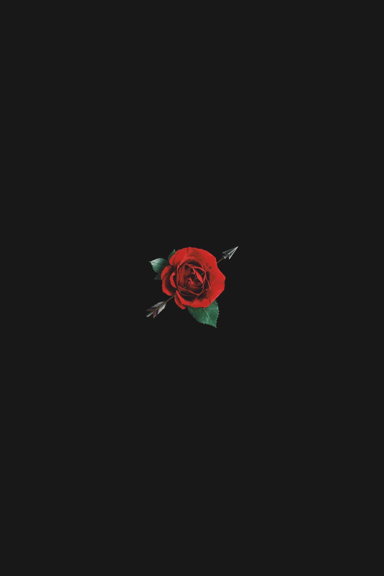 Minimalist Black And Red Aesthetic Small Rose Wallpaper