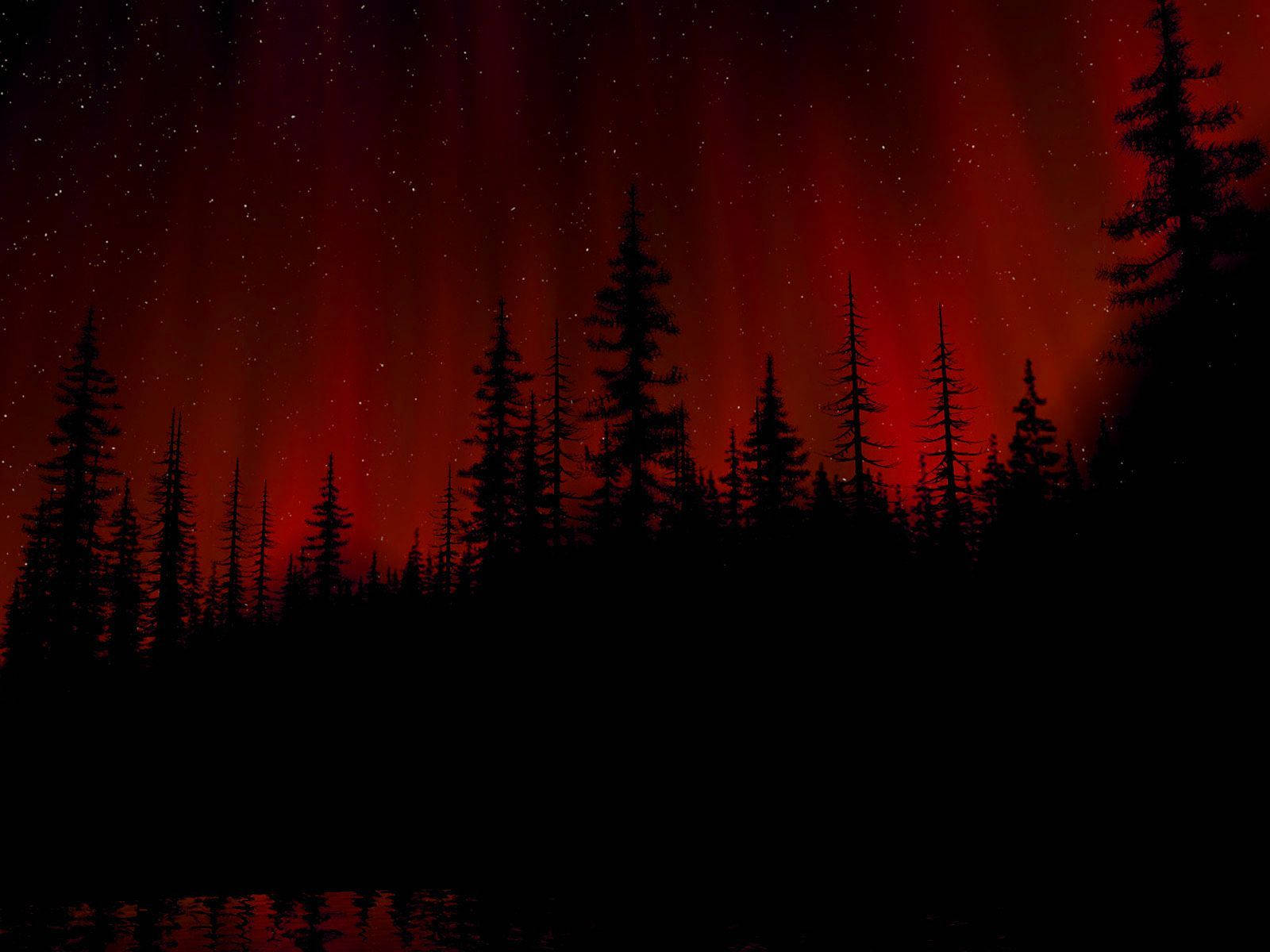 Black And Red Forest Wth Trees