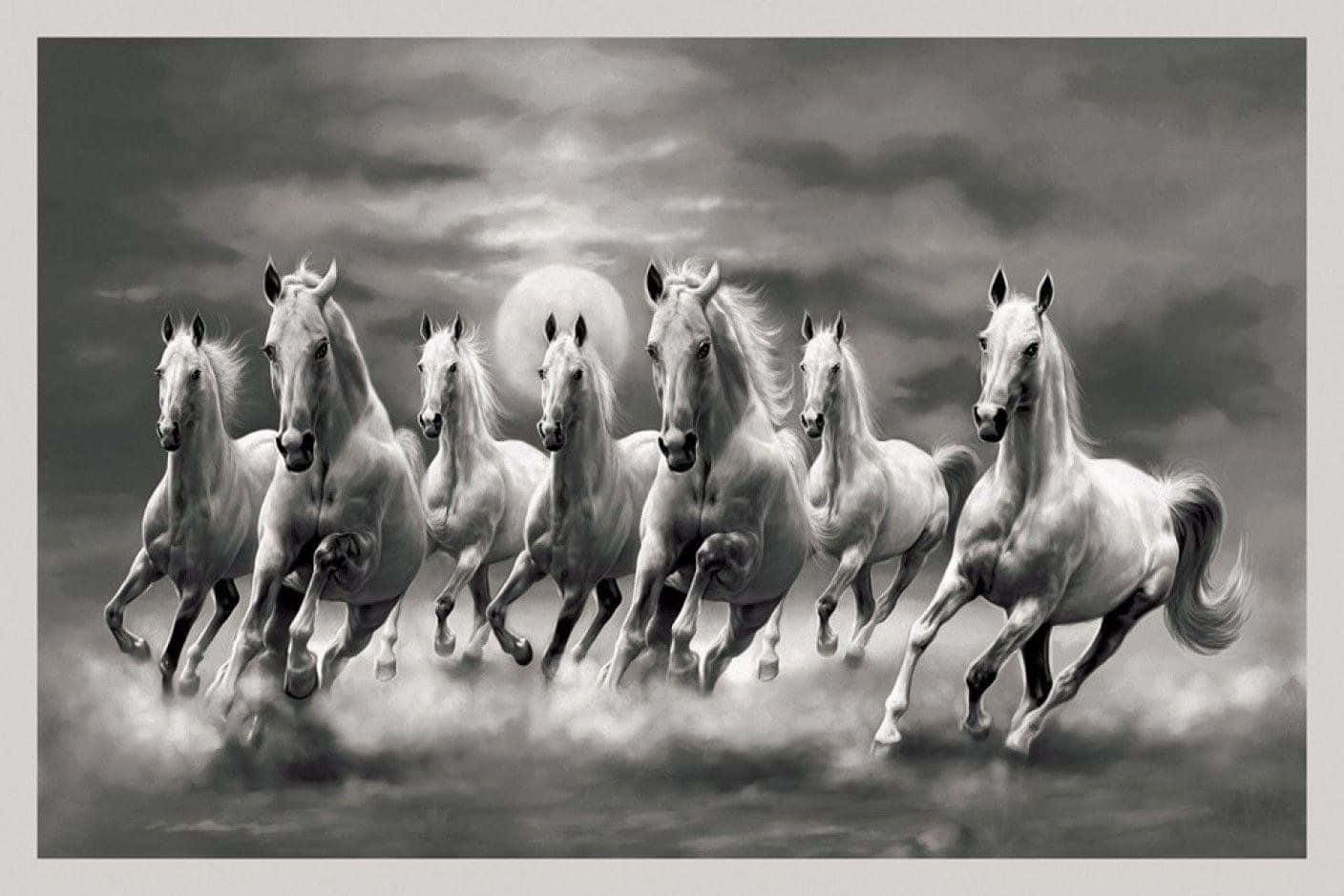 Download Black And White 7 White Horses Wallpaper 