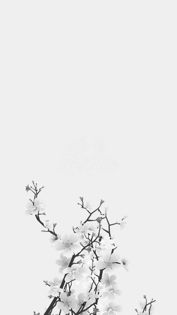 Schwarzerund Weißer Ästhetischer Blumenumriss Wallpaper