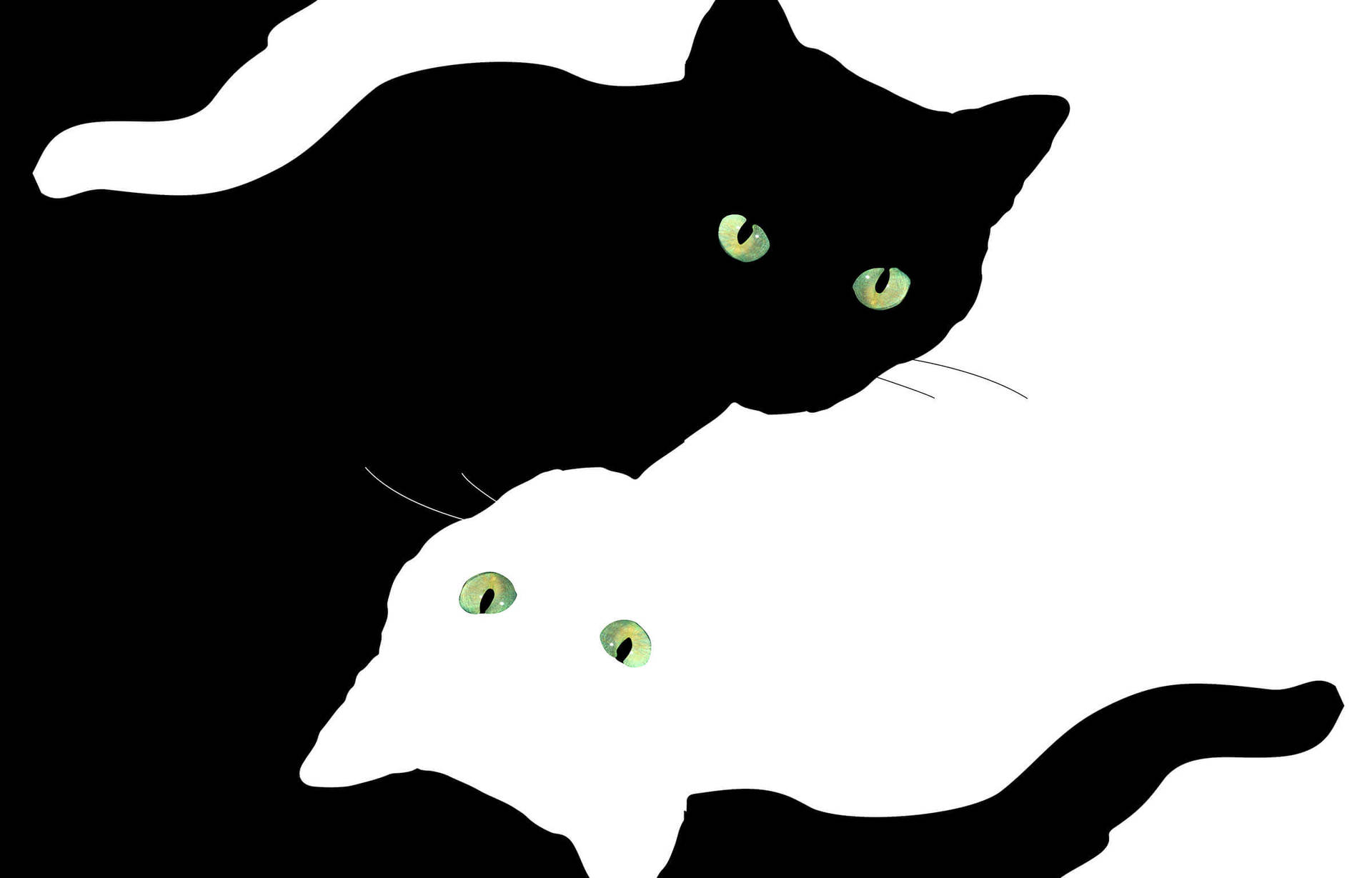 Black And White Aesthetic Illusion Cats Wallpaper