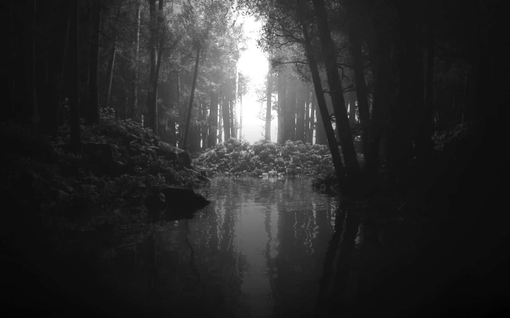 Black And White Aesthetic Pc Forest Wallpaper