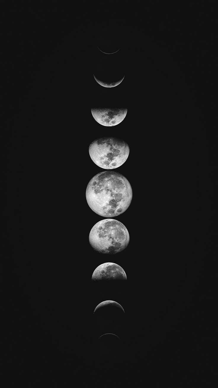 The Moon Phases In Black And White Wallpaper