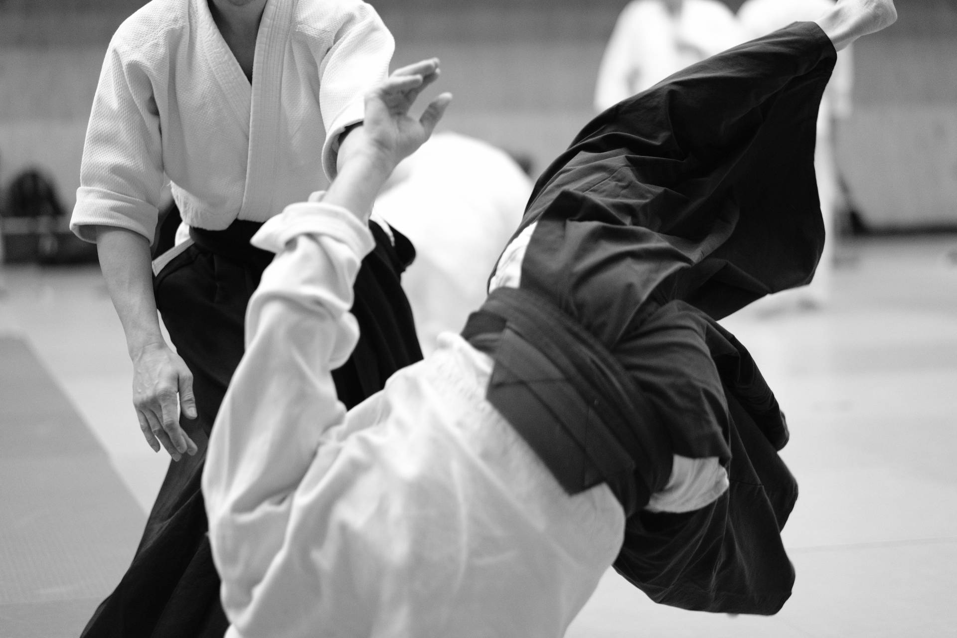 Black And White Aiki Nage Aikido Technique Wallpaper
