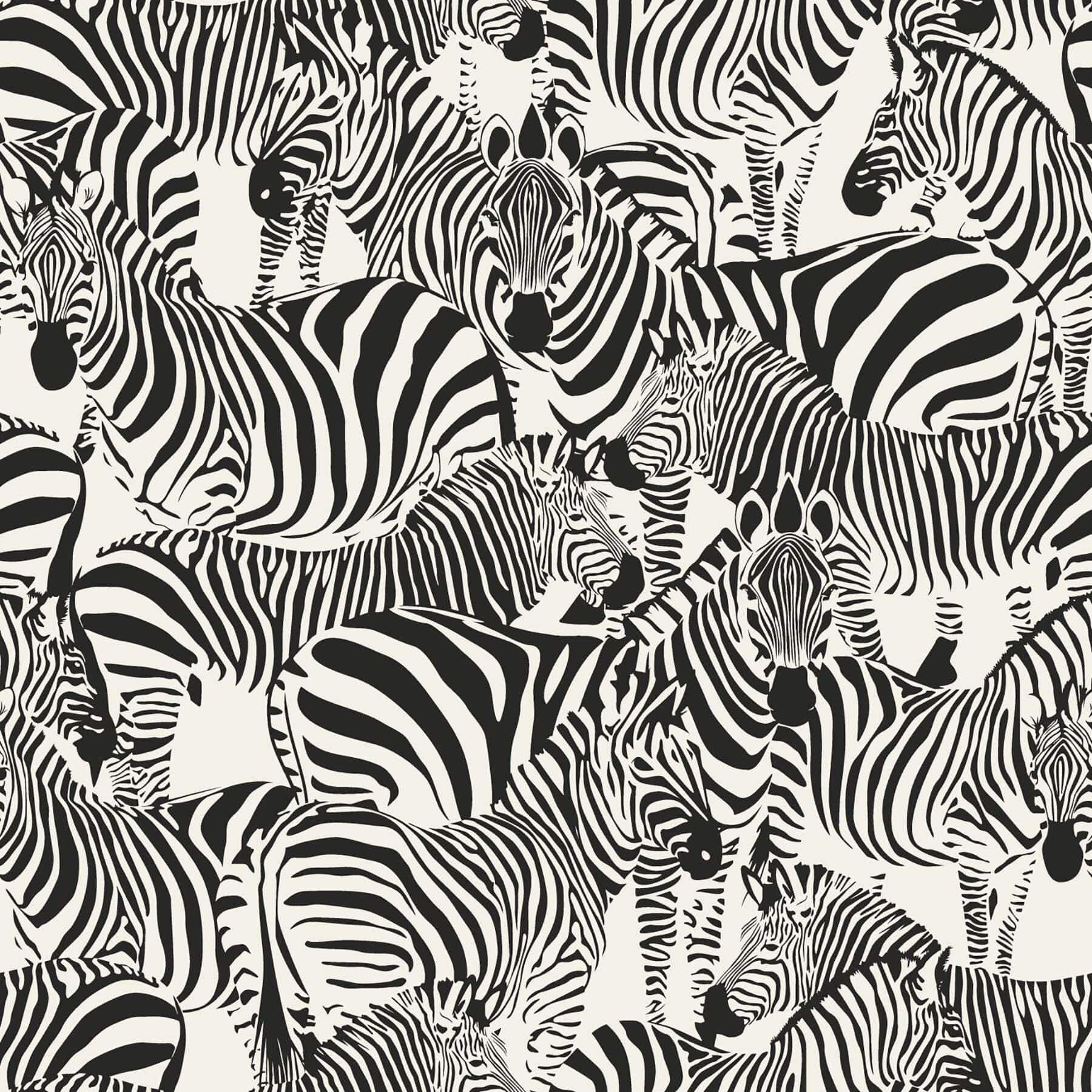 En livlig sort og hvid dyremønsterdesign. Wallpaper