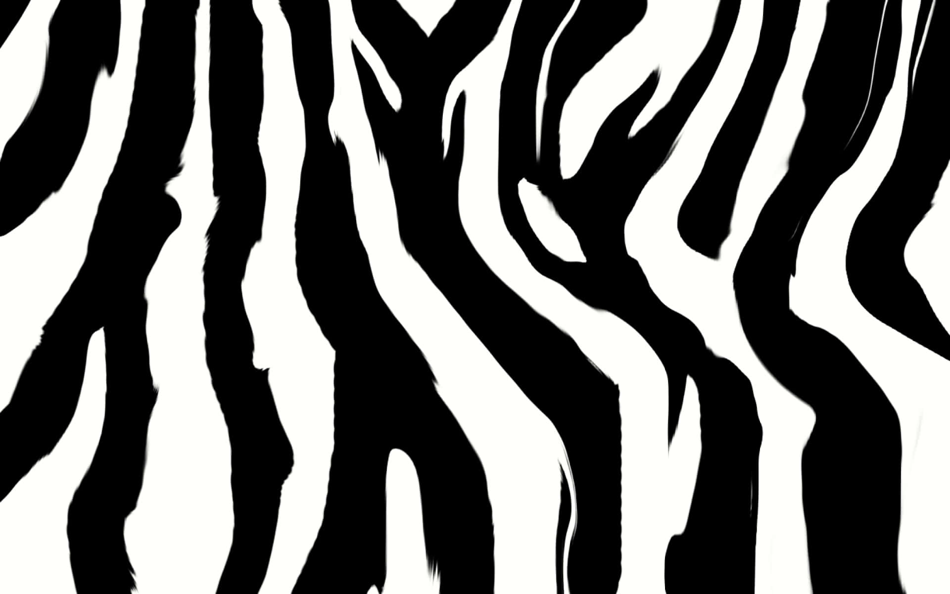A Black And White Zebra Print Wallpaper