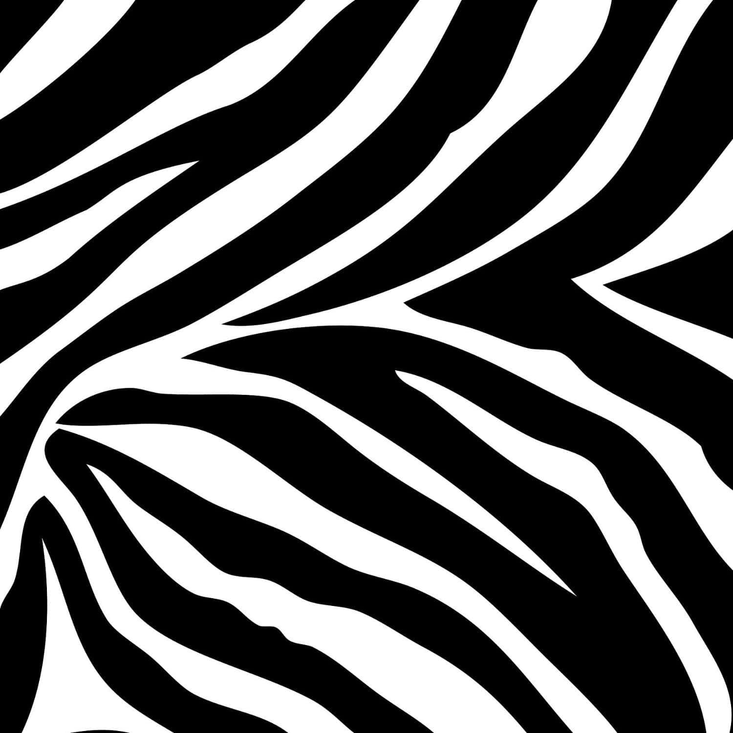 Download Black And White Animal Print Wallpaper 