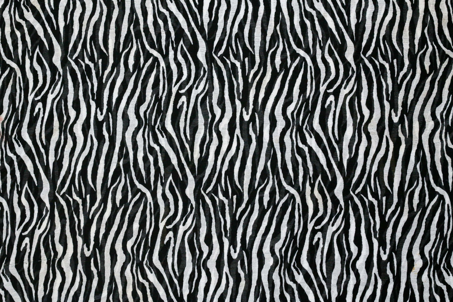 En klassisk sort og hvid dyrprint mønster. Wallpaper