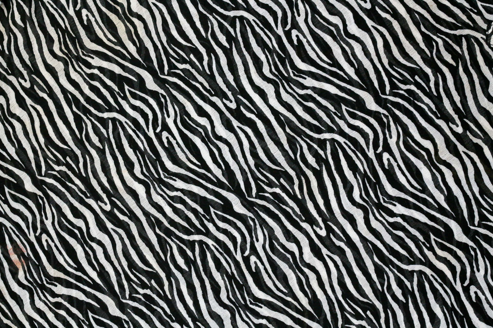 Einenahaufnahme Eines Schwarz-weißen Zebramusters Stoffes Wallpaper