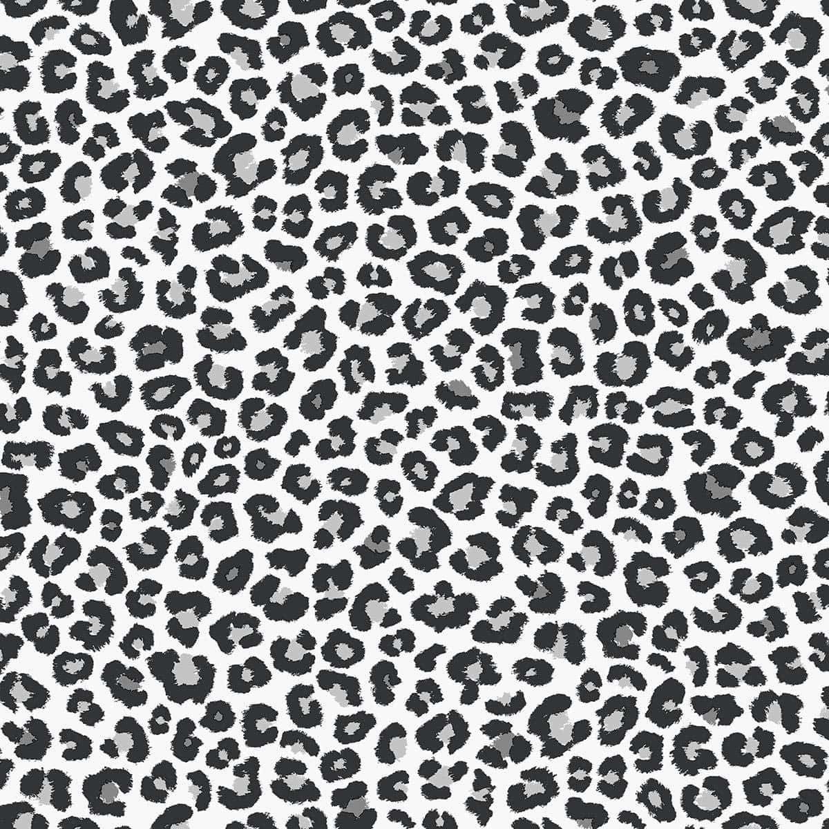 Enmönstrad Leopard Tapet I Svart Och Vitt Wallpaper