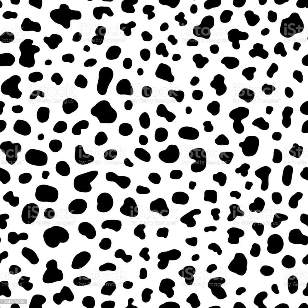Black And White Cow Print Pattern Wallpaper