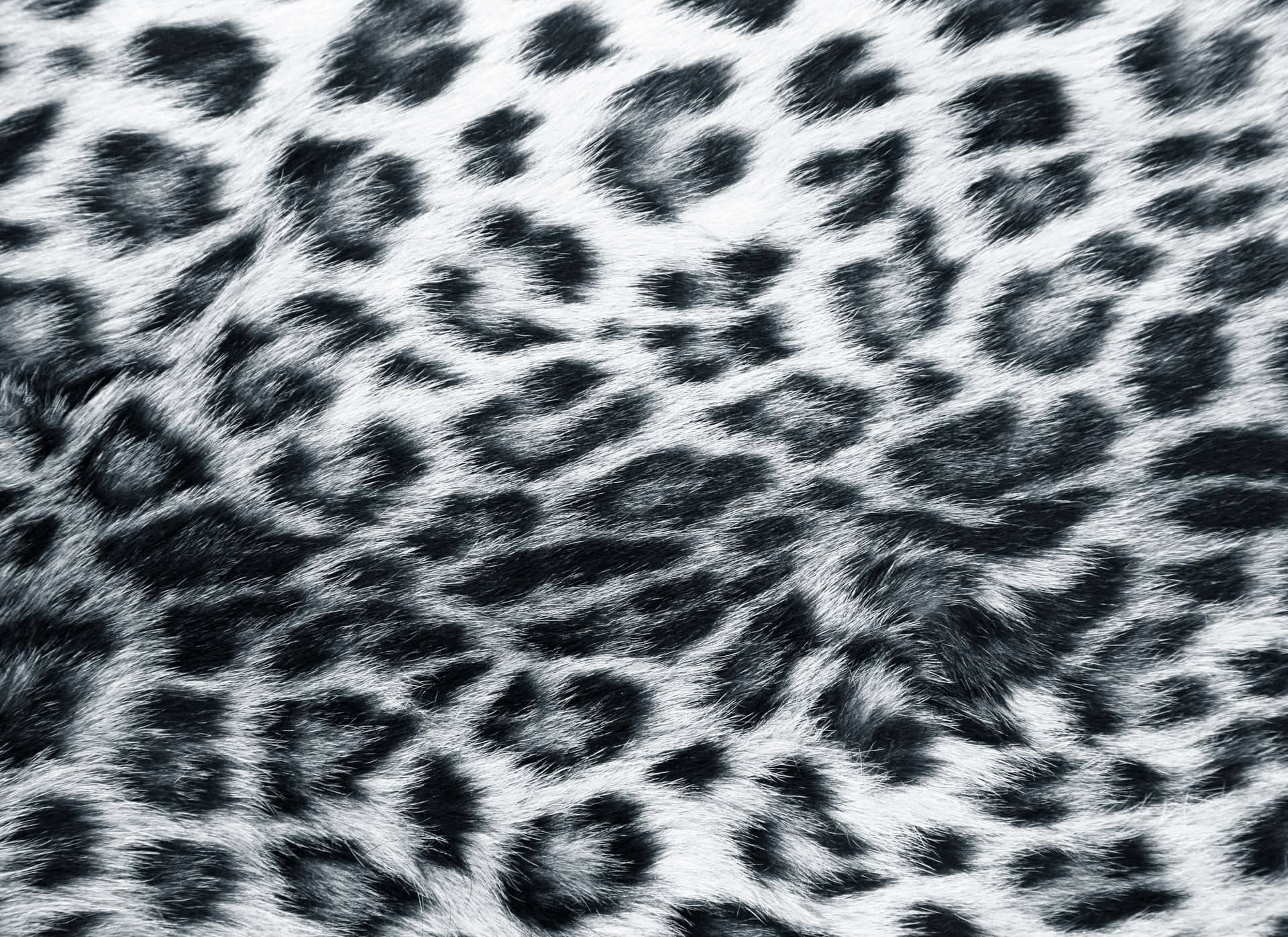 Ennärbild Av En Leopardmönstrad Bakgrund. Wallpaper