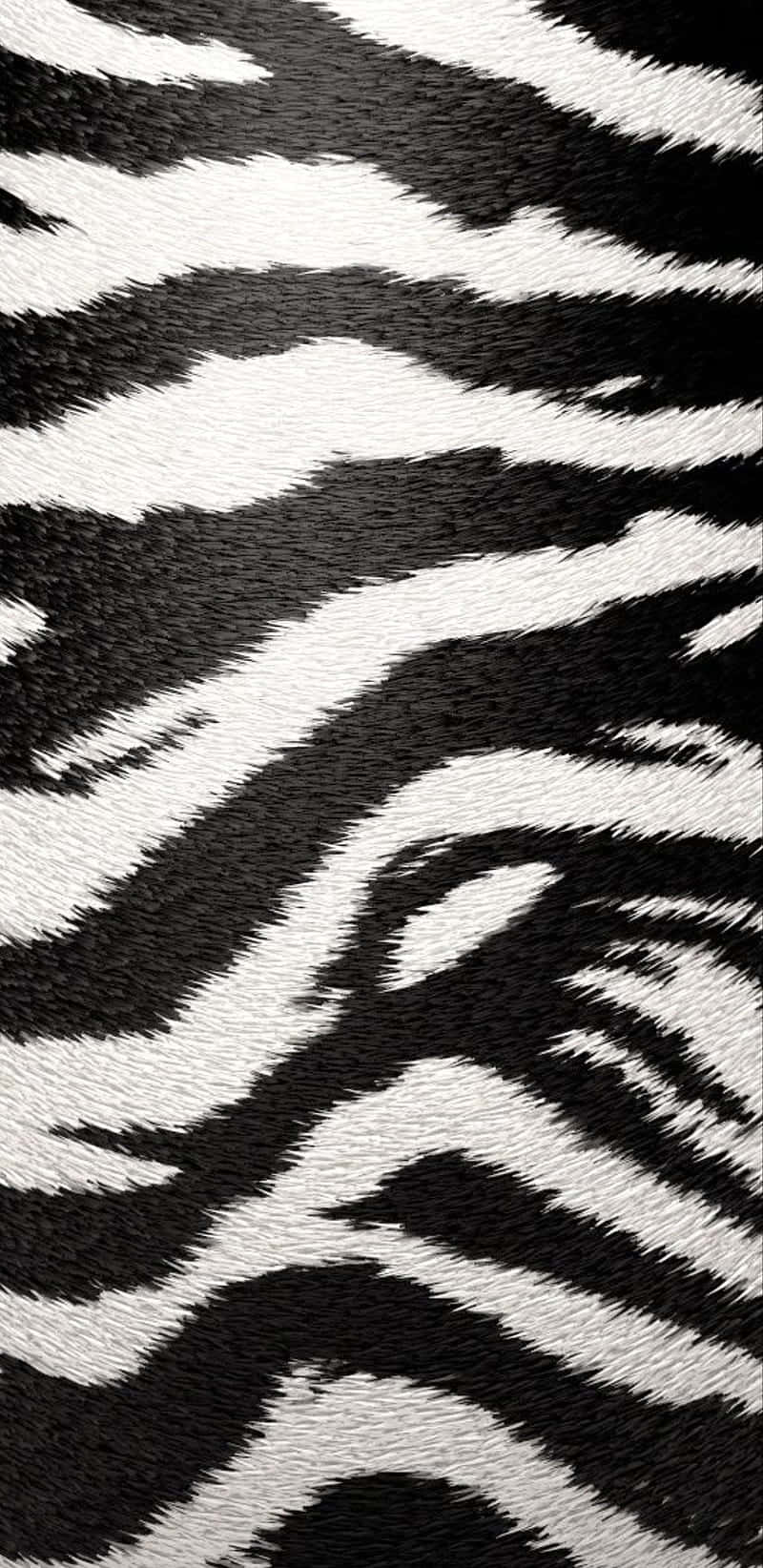 Take your style to the next level with Black and White Animal Print Wallpaper