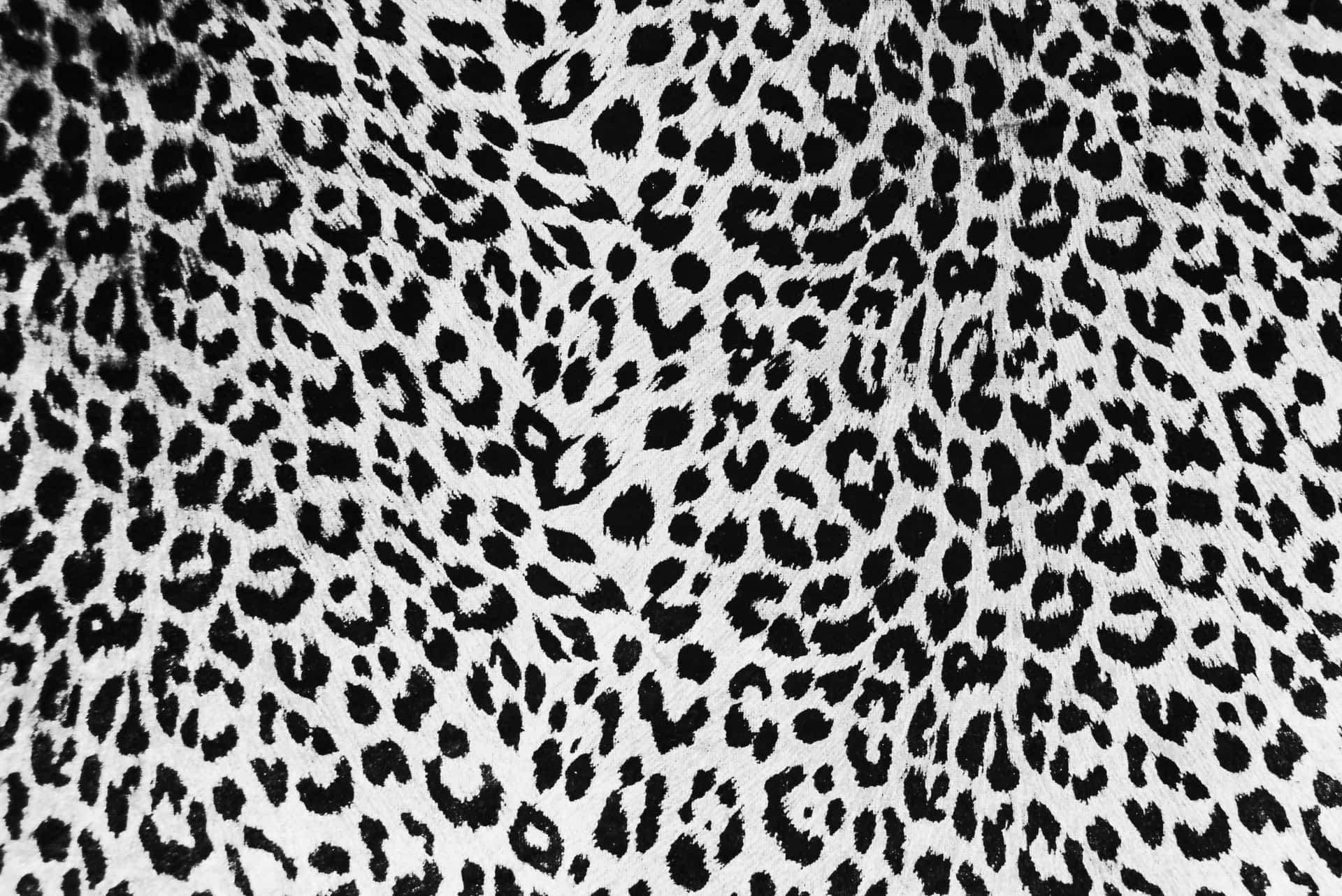 Einenahaufnahme Eines Schwarz-weißen Leopardenmusters Wallpaper