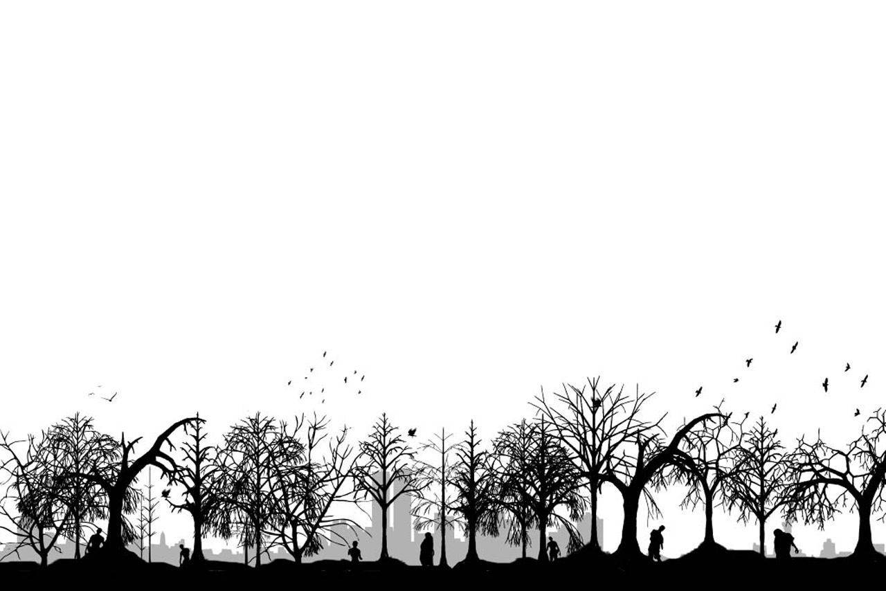 Schwarzeund Weiße Anime-ästhetische Bäume Wallpaper