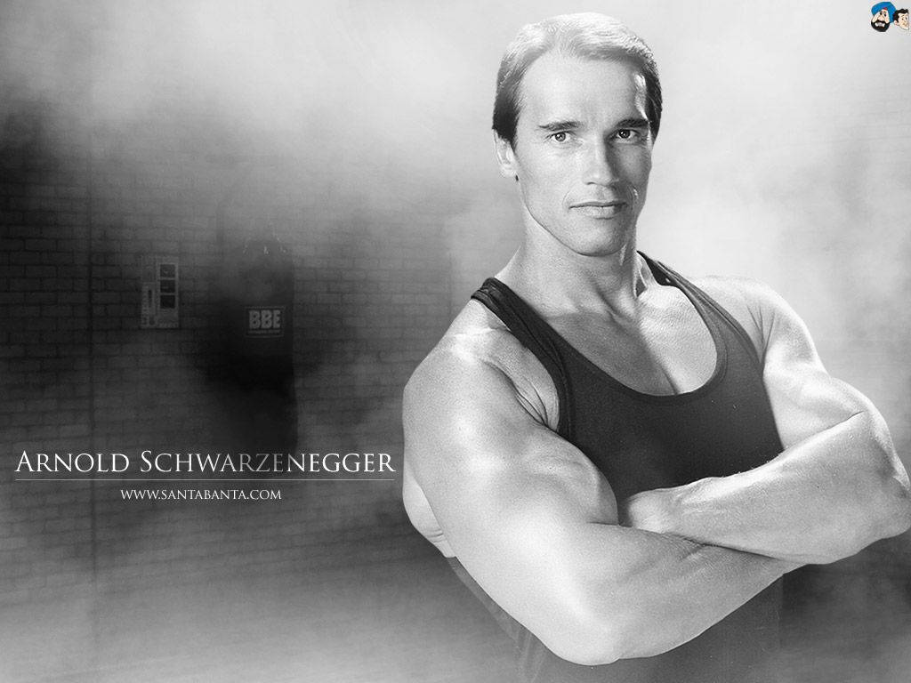Black And White Arnold Schwarzenegger Wallpaper