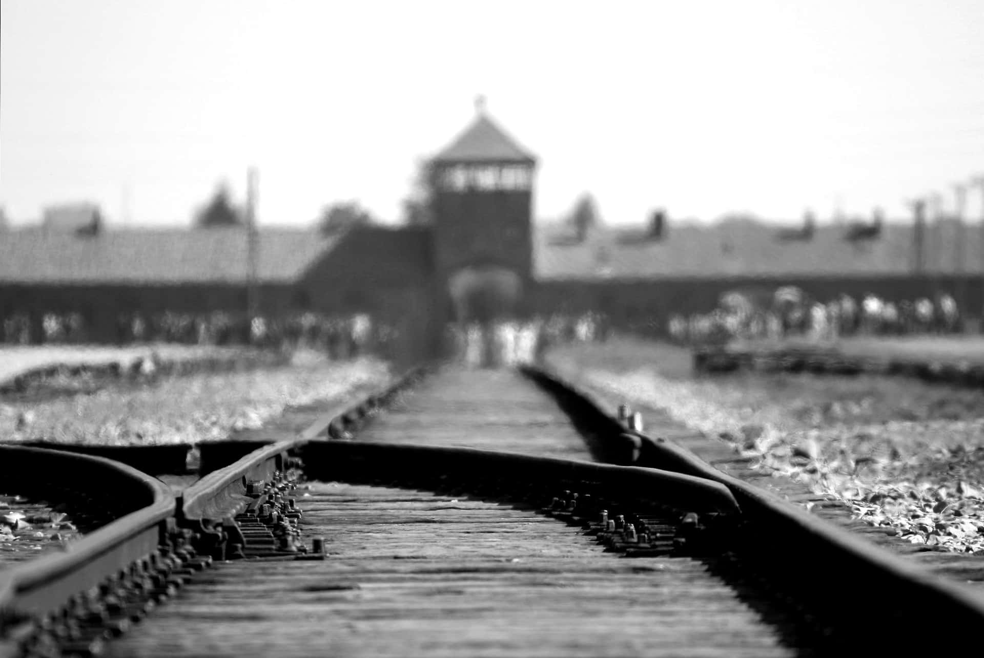 Black And White Auschwitz Concentration Camp Picture