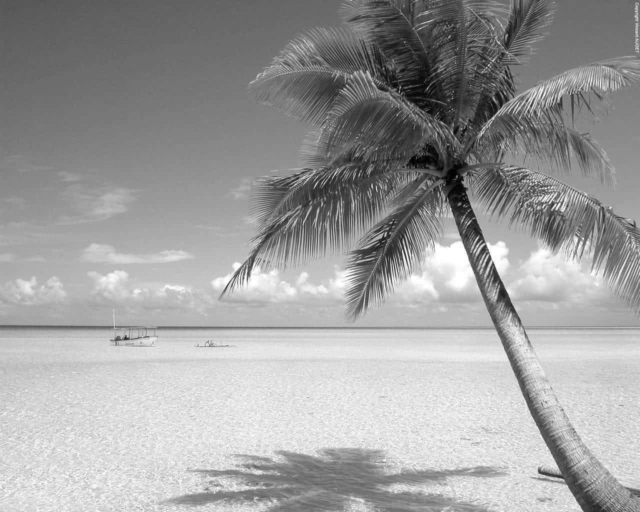 Serene Black and White Beach Scene Wallpaper