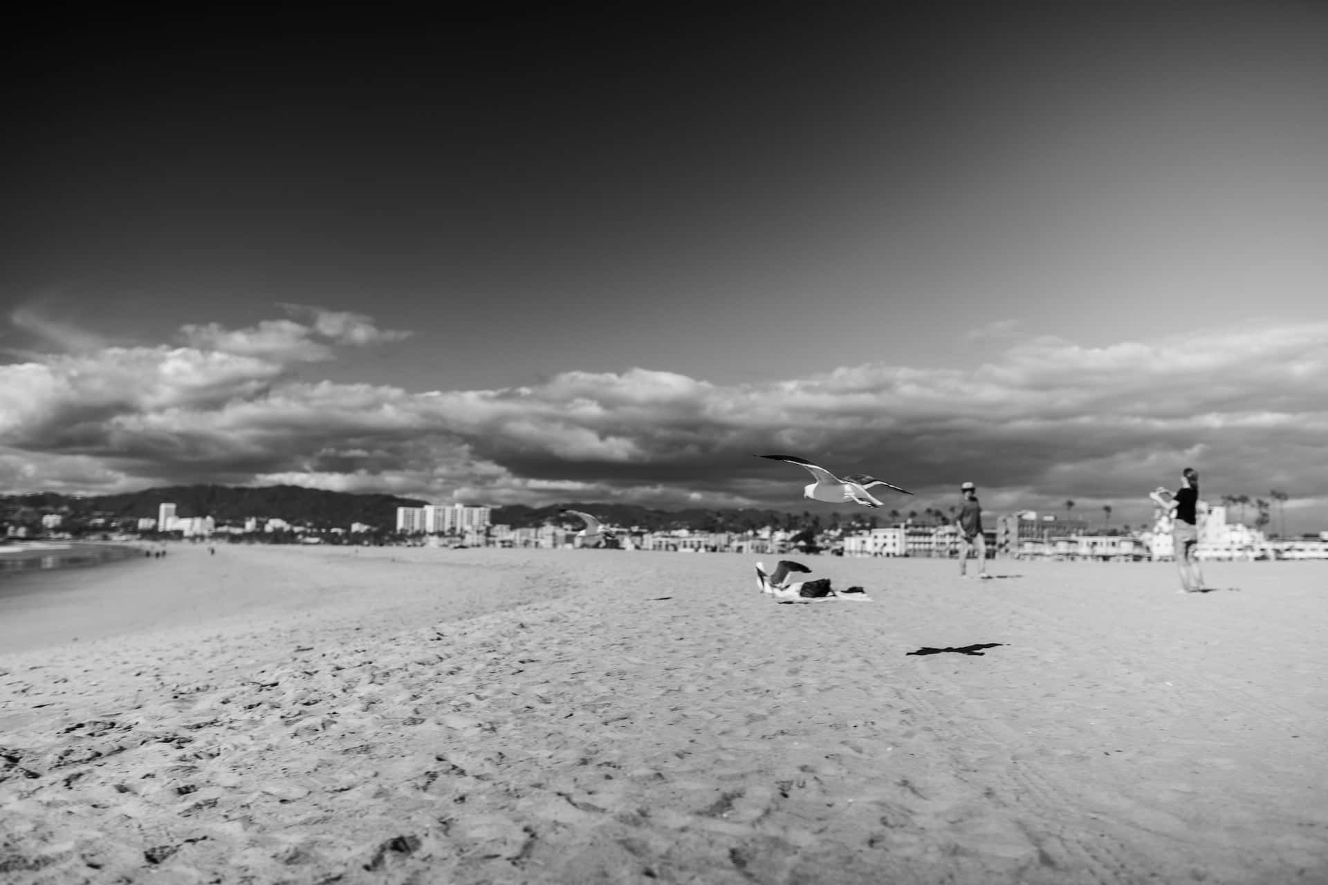 Black and white beach landscape Wallpaper