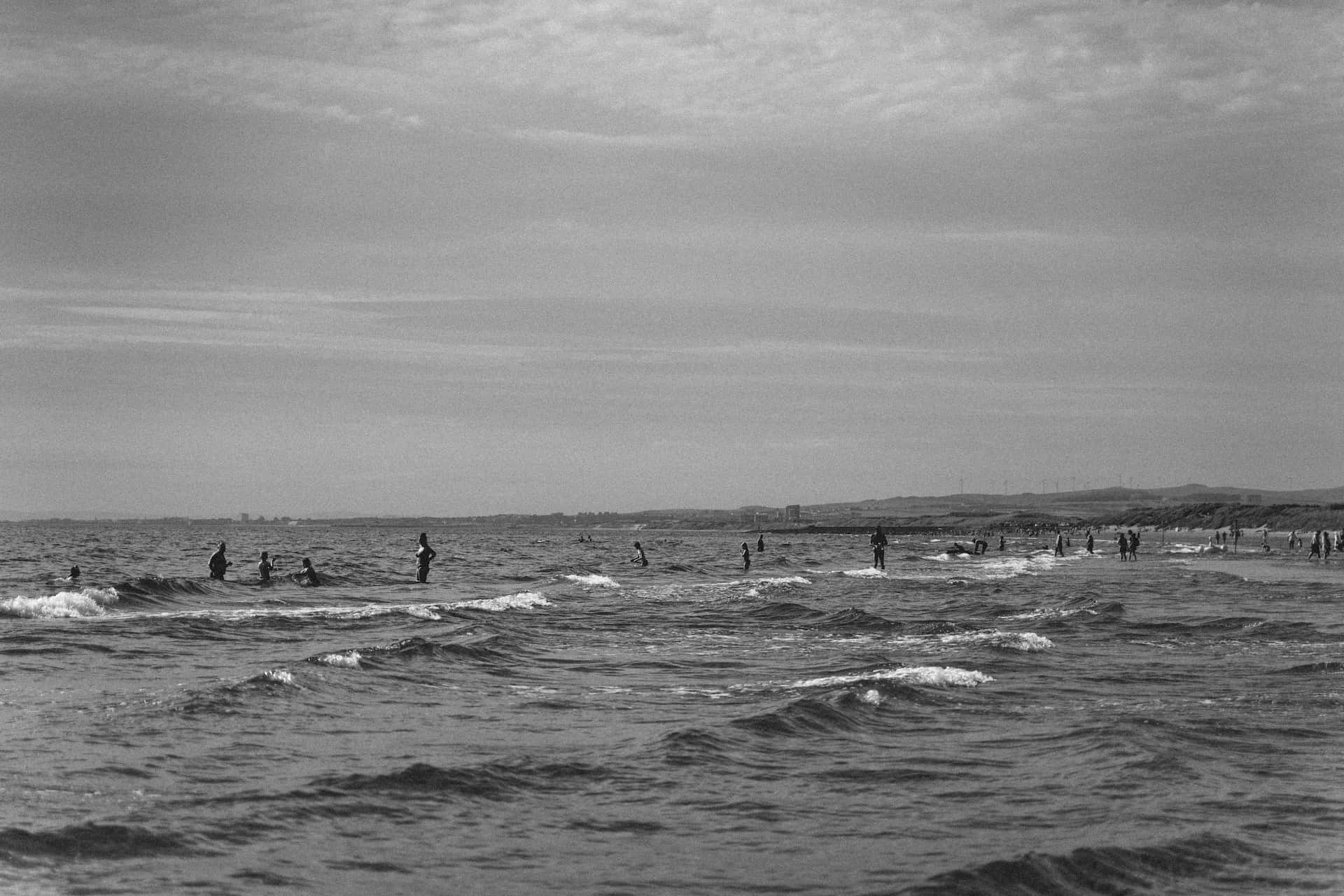 Serene Black and White Beachscape Wallpaper