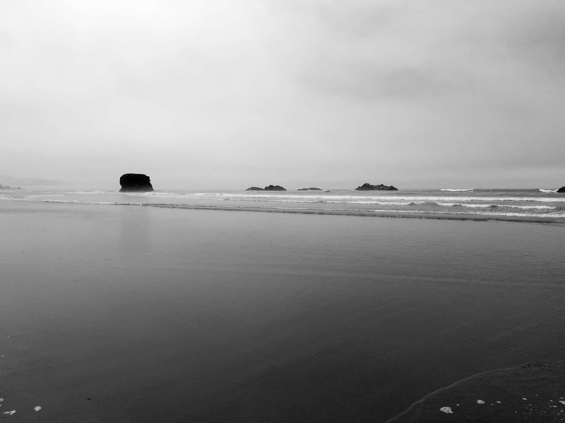 Serene Monochrome Beach Escape Wallpaper