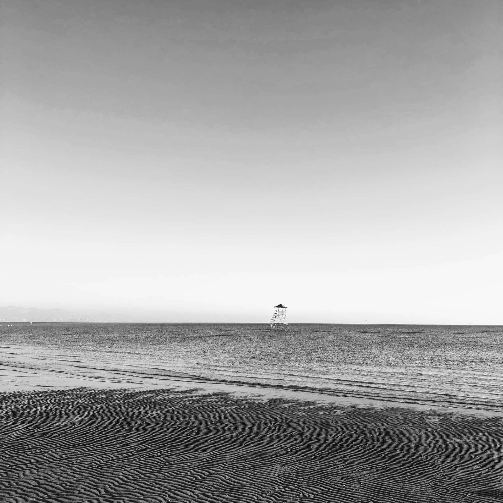Download Serene Black and White Beach Landscape Wallpaper | Wallpapers.com