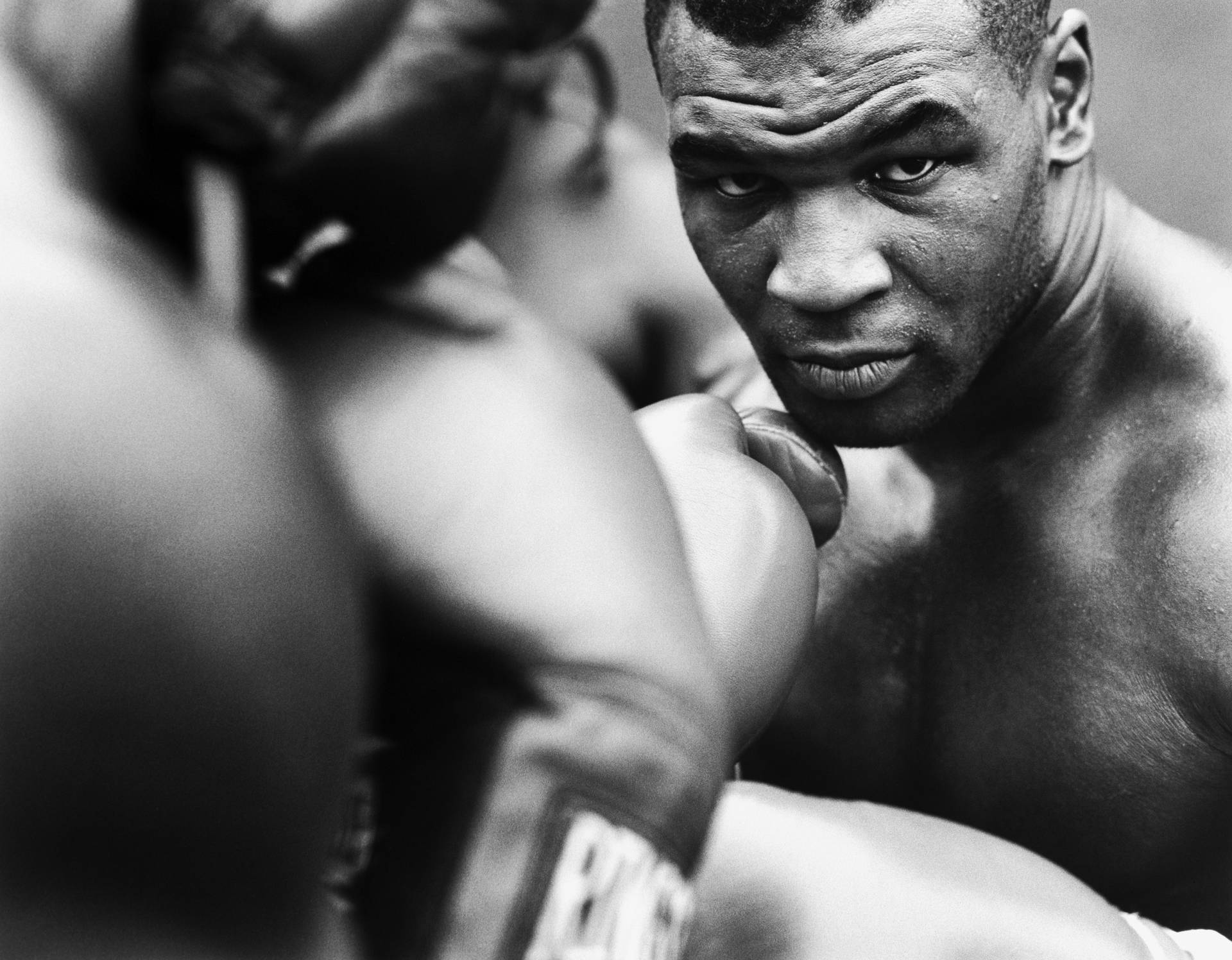 Cajaen Blanco Y Negro Del Boxeador Mike Tyson En 4k Fondo de pantalla