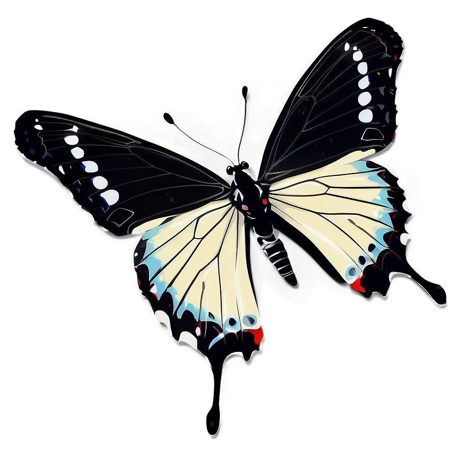 Black And White Butterfly Png 04292024 PNG