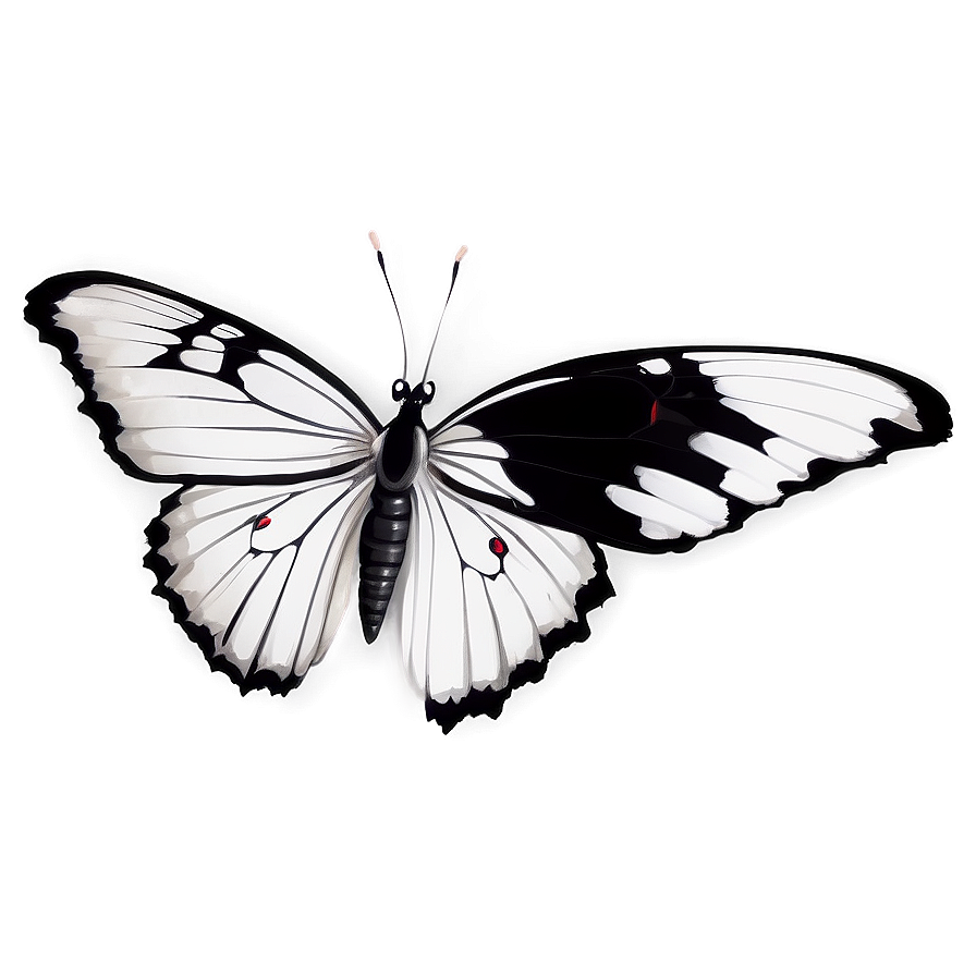 Black And White Butterfly Png Nqo PNG