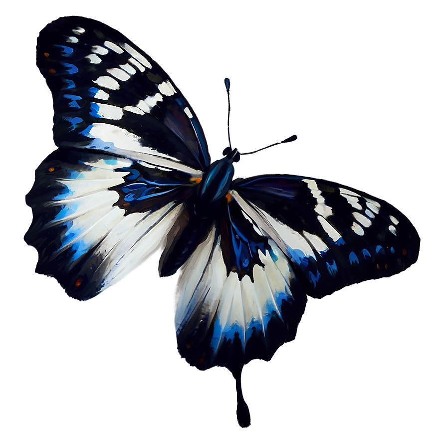 Black And White Butterfly Png Odd86 PNG
