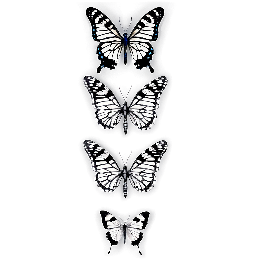 Black And White Butterfly Png Ufb49 PNG