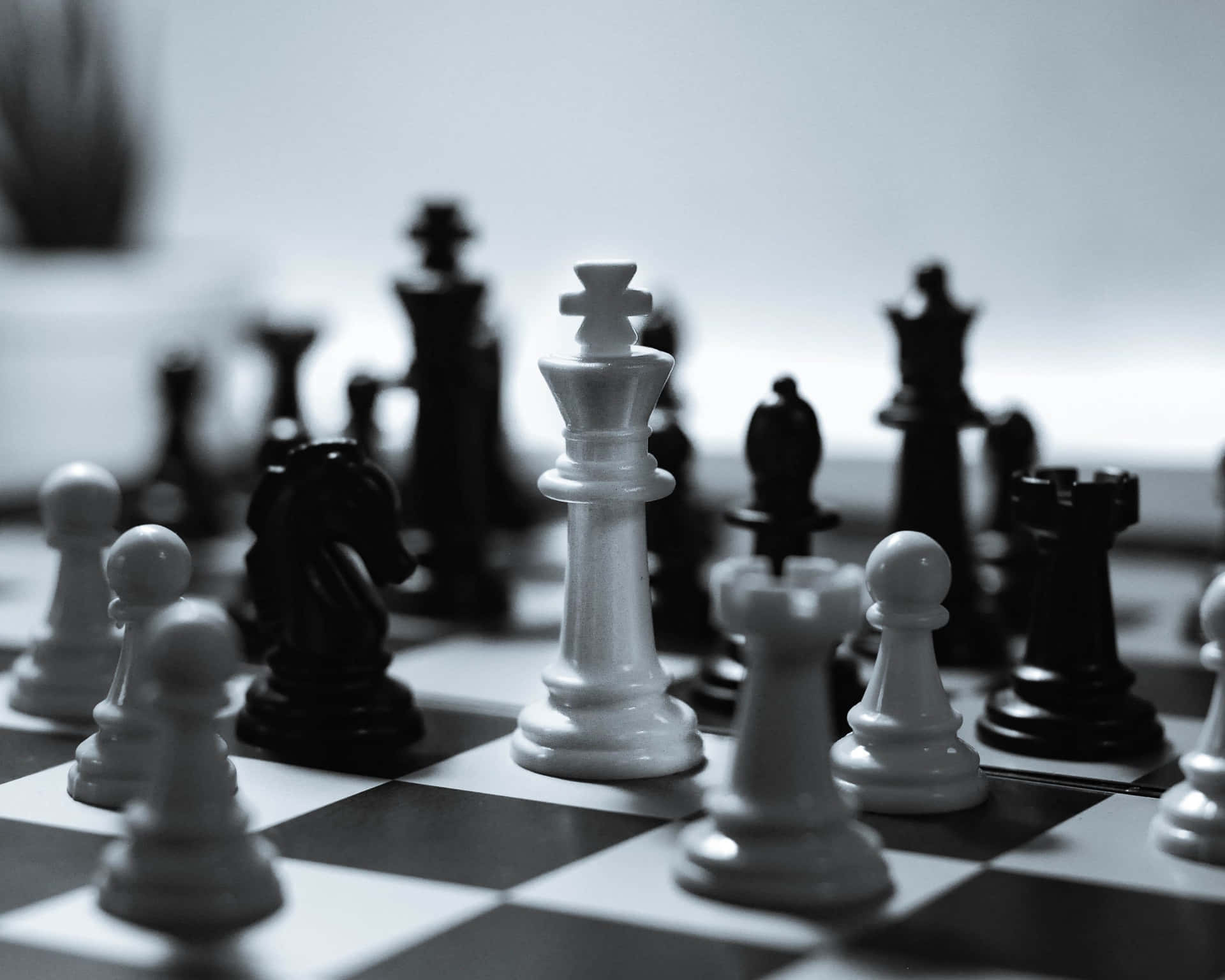 Black and White Chess Duel on Board Wallpaper