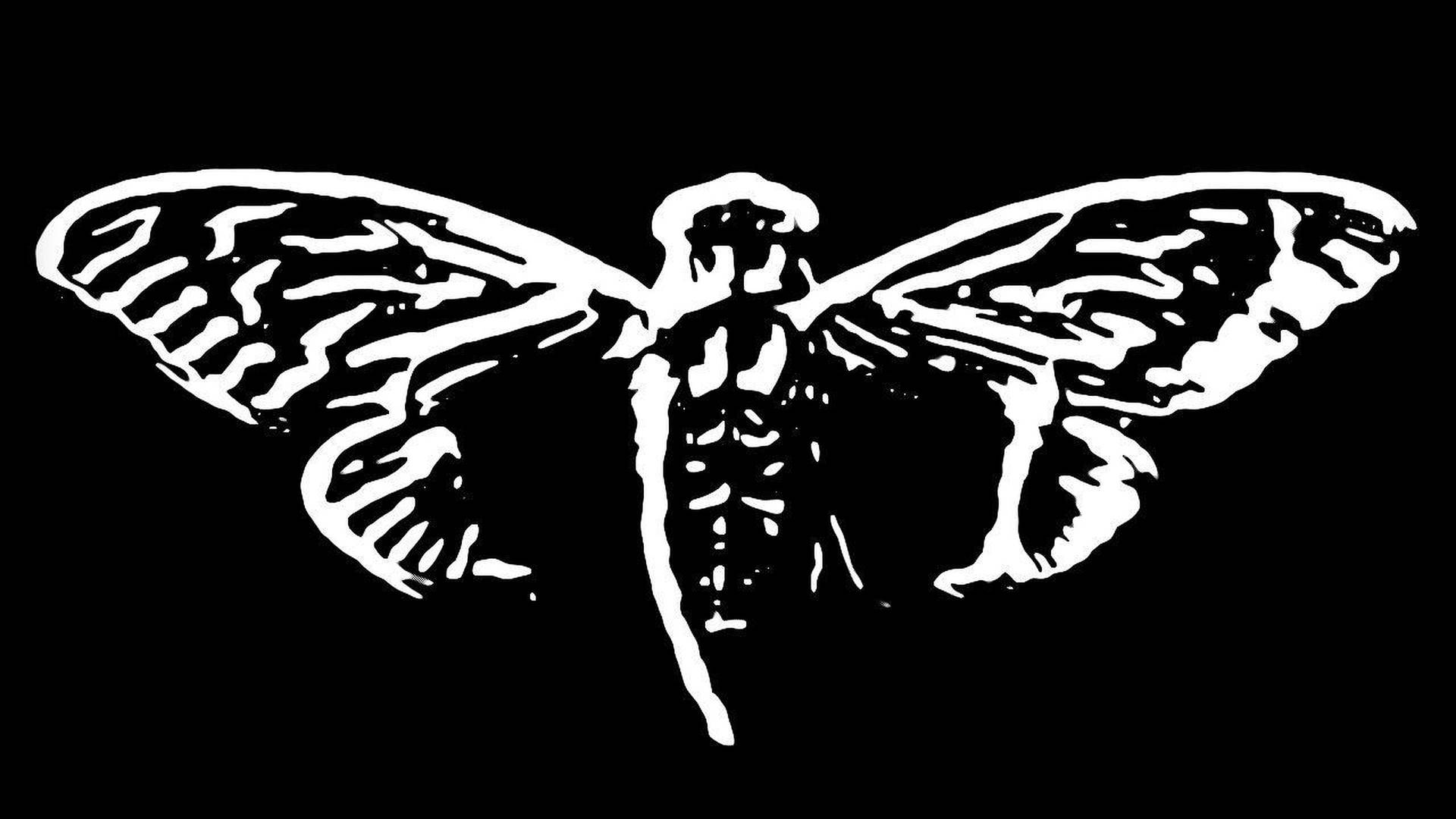 Black And White Cicada Wallpaper