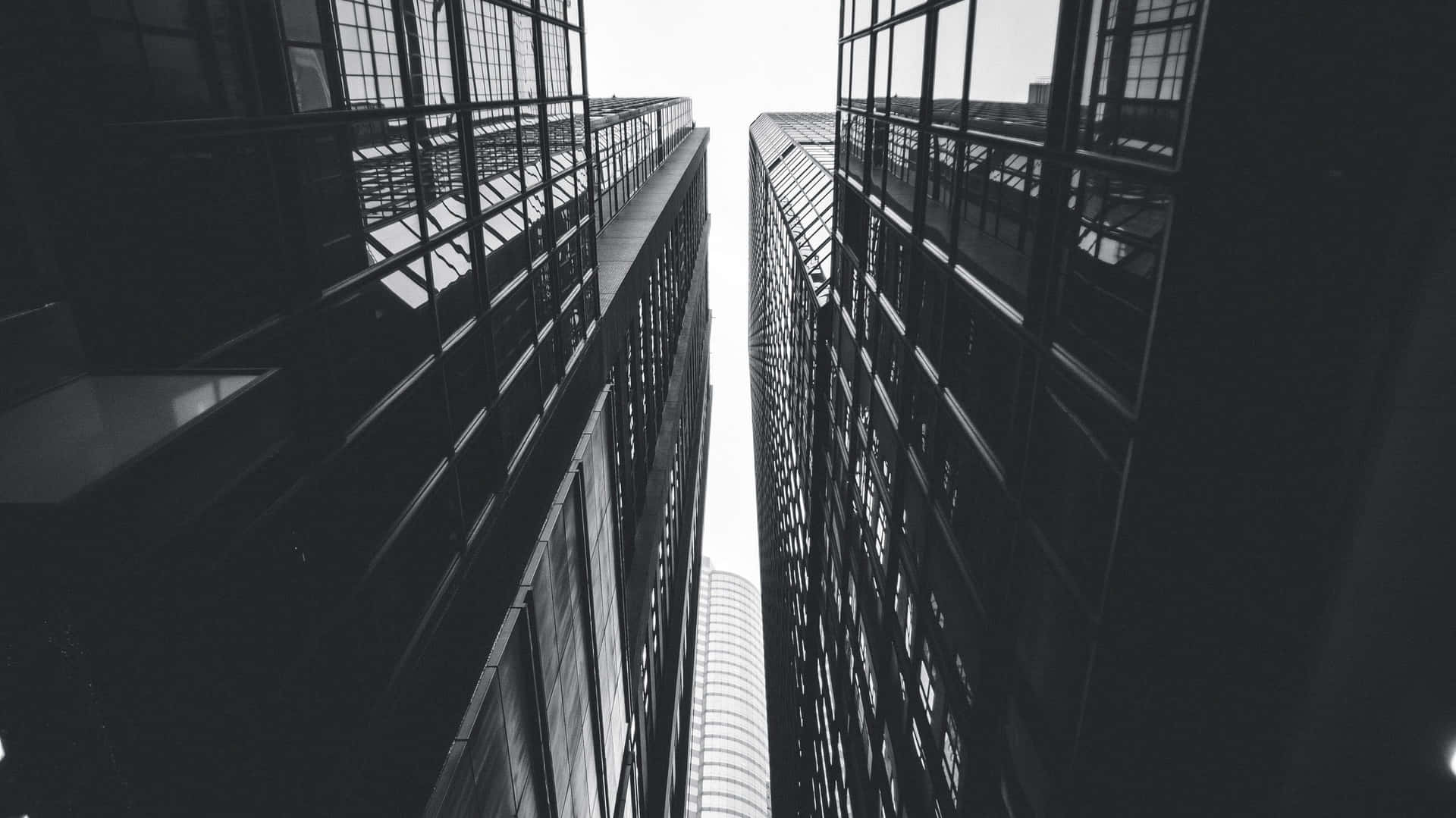 Sort og hvid foto af høje bygninger Wallpaper
