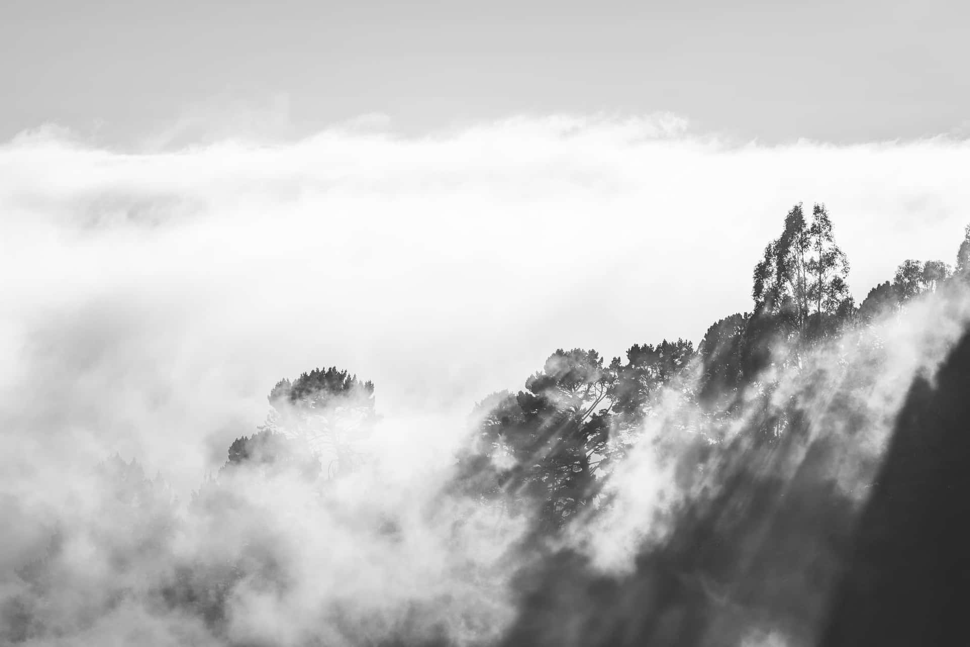 Schwarzweiß Wolke Dichter Nebel Wallpaper