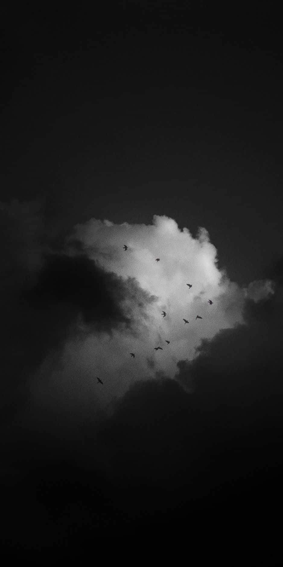Nuvolenere E Bianche Con Uccelli Che Volano. Sfondo