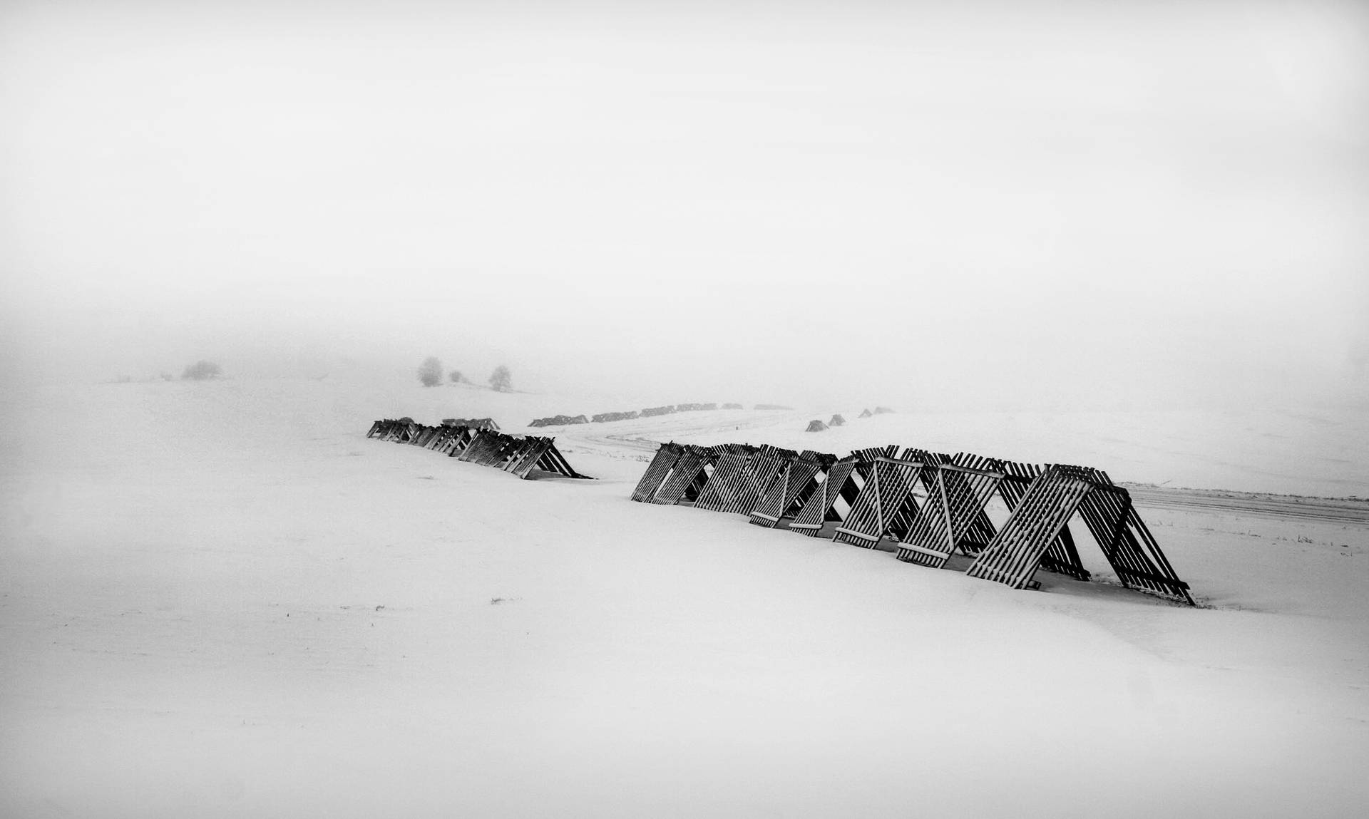 Black And White Cold Photography Wallpaper