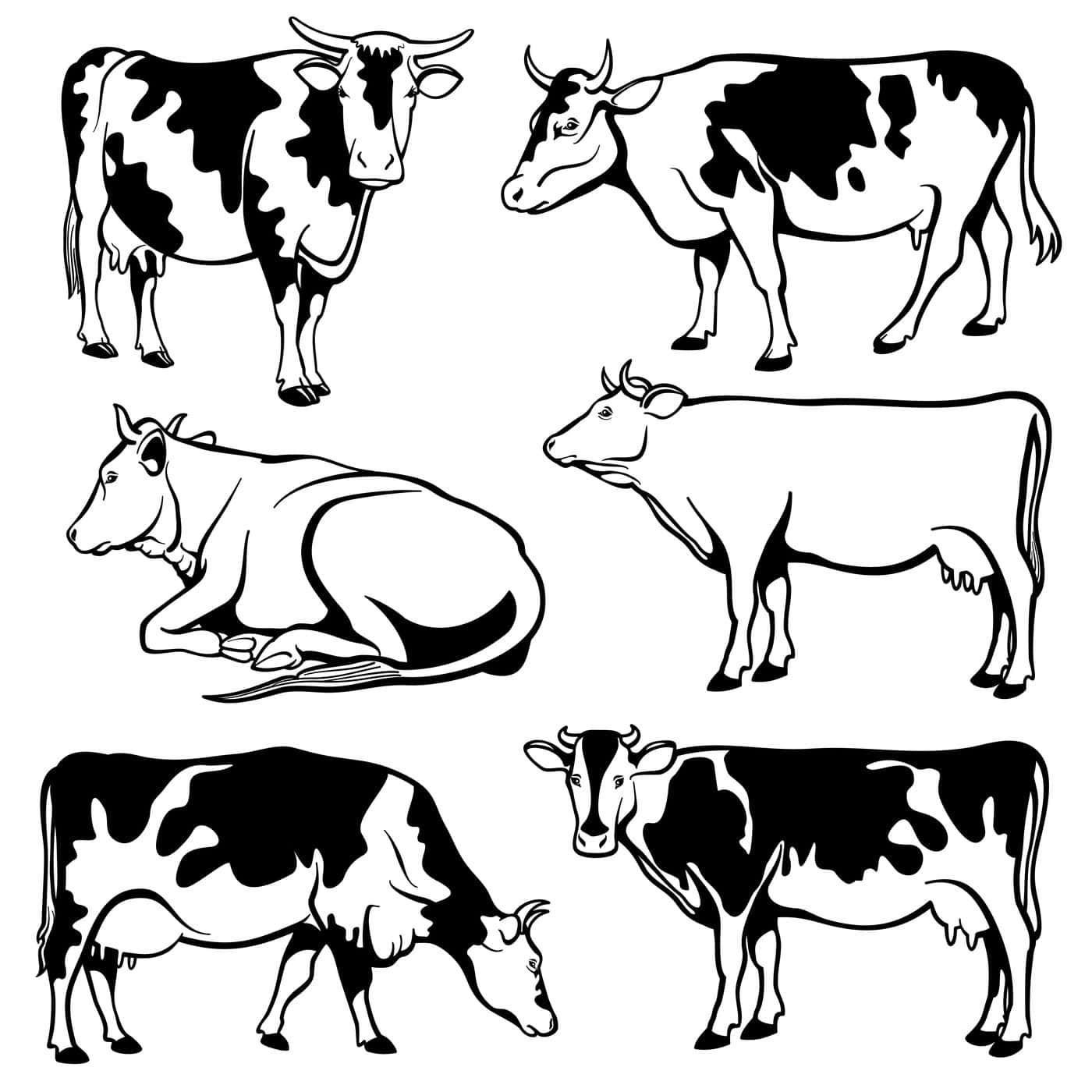 Cows In Different Poses Vector