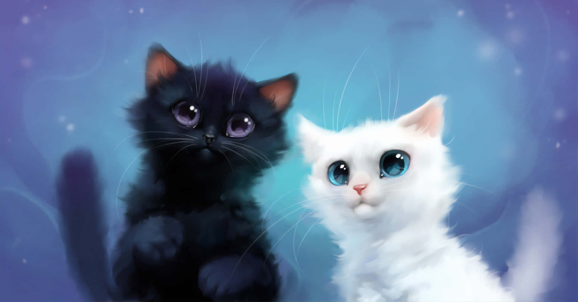 Black And White Cute Kitties Wallpaper