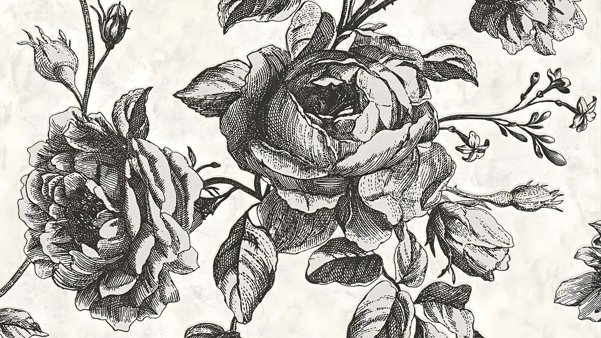 Arte Floral En Blanco Y Negro Fondo de pantalla
