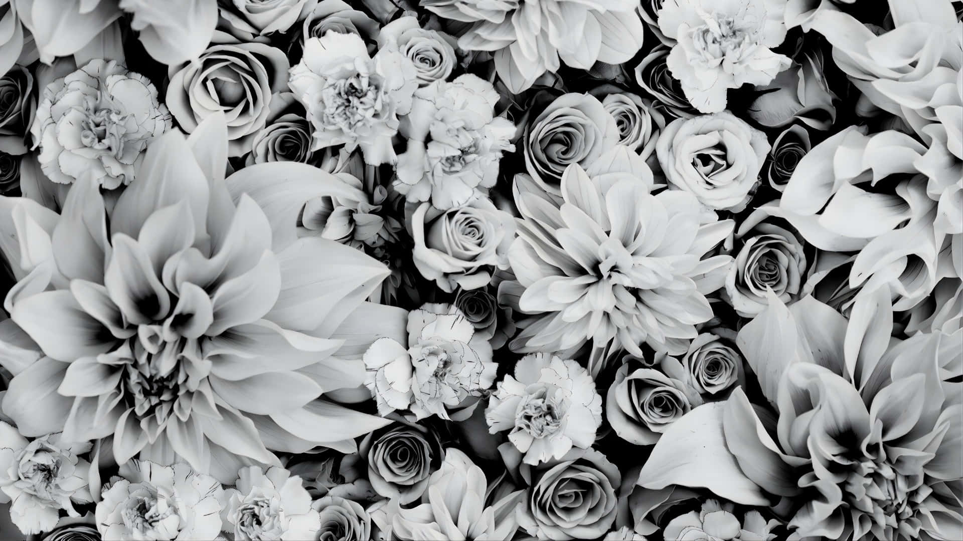 Elegancia Floral En Blanco Y Negro Fondo de pantalla